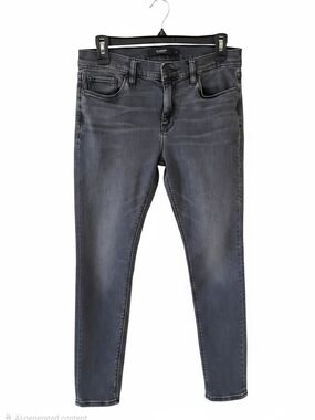 Hudson Jeans Women’s Gray Skinny Jeans